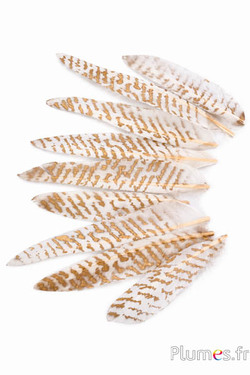 Gans Kopf  - Mr Darcy’s Letter - 15-20 cm - weiss-gold